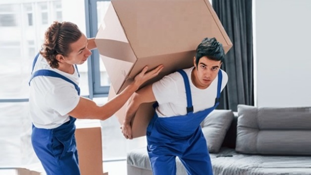 Profesyonel Evdeneve Eşya Taşıma Elemanları